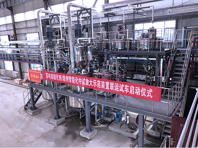 甘肅某石油化工企業催化劑生產制備系統